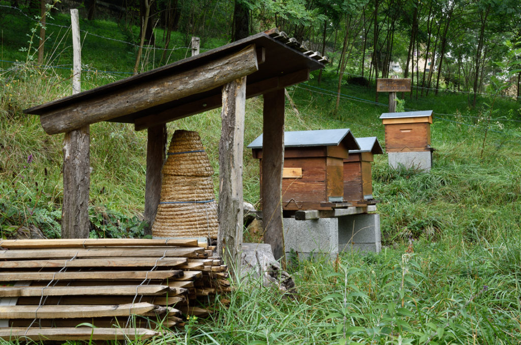  La maison-musée Les Charmettes - les ruches