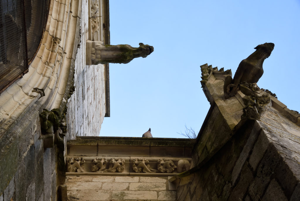 détail gargouilles cathédrale de Bourges