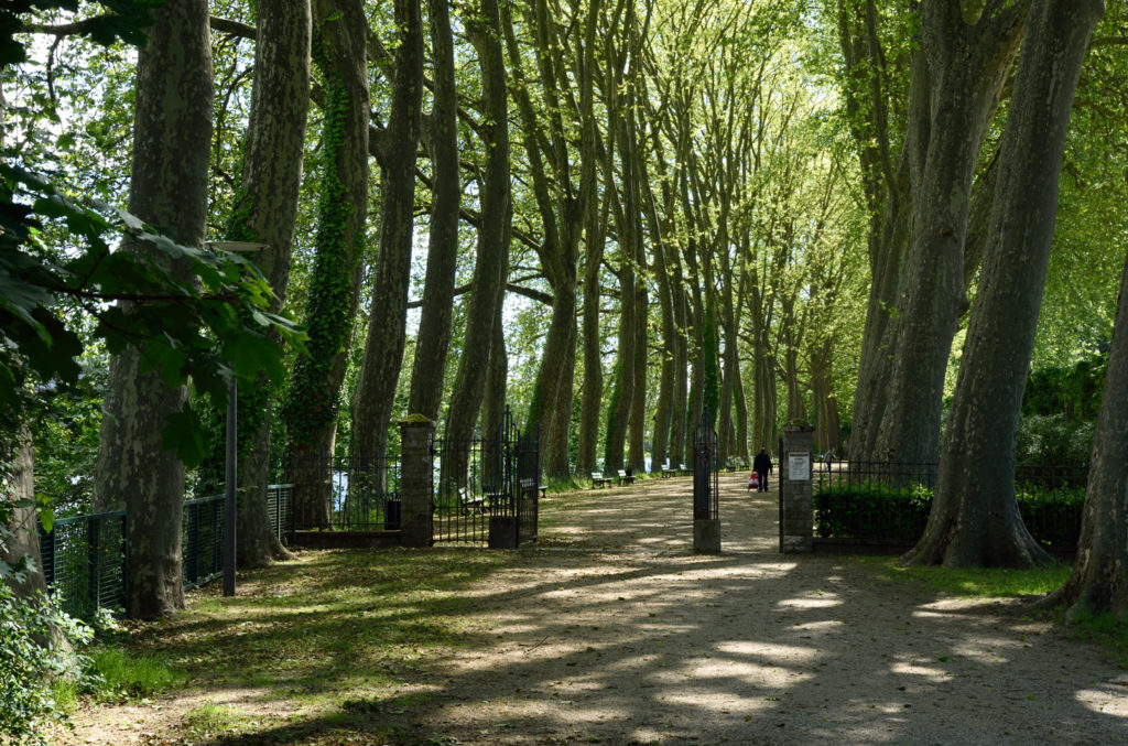 EBLOUISSANT : Un grand week-end à Bourges- parc Près-Fischaux