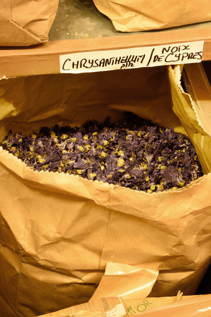 fleurs de violette en vrac